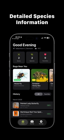 Bug Identifier: Spider & Pest Screenshot 4 of 4