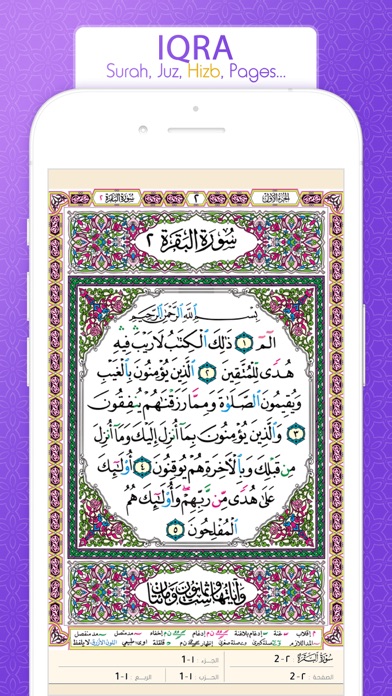 Quran in English القرآن الكريم Screenshot