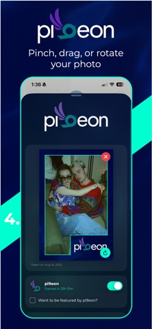 Pi9eon Screenshot 4 of 8