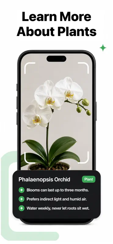 Lens Search: Identify Anything screenshot 5 of 10