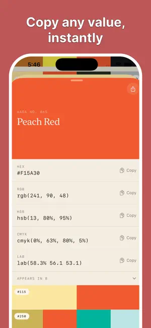 Wada Dictionary of Colors iPhone screenshot 4