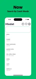 Czech Dictionary - Dict Box screenshot #6 for iPhone
