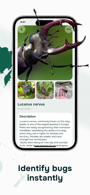 AI Plant Identification App screenshot 4