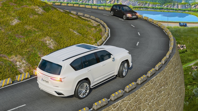 School Car Driving Simulation screenshot-4