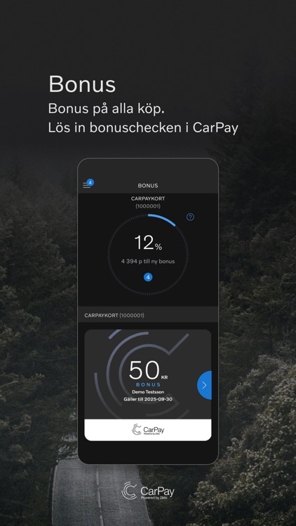 CarPay screenshot-3