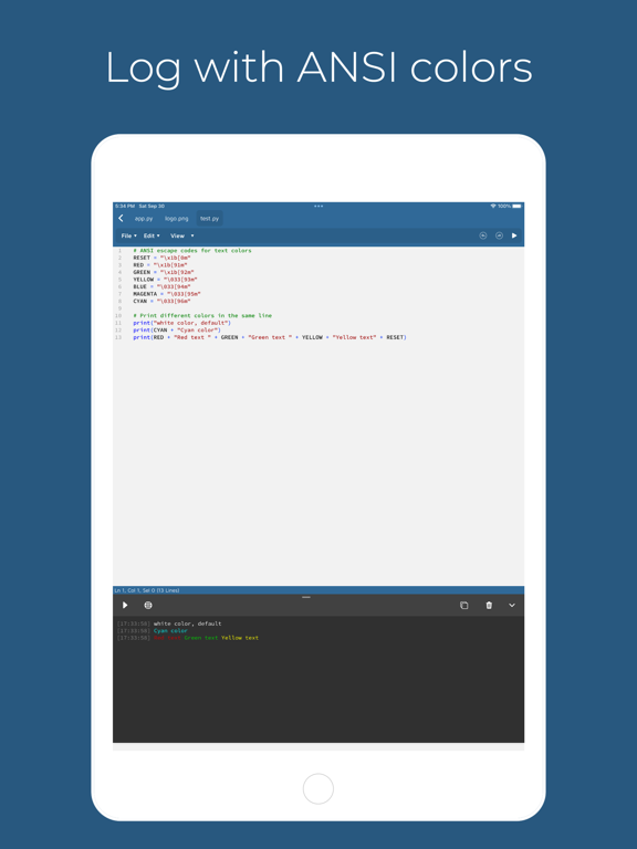 Pythonica: Code and Debug iPad screenshot 5 - Developer Tools app