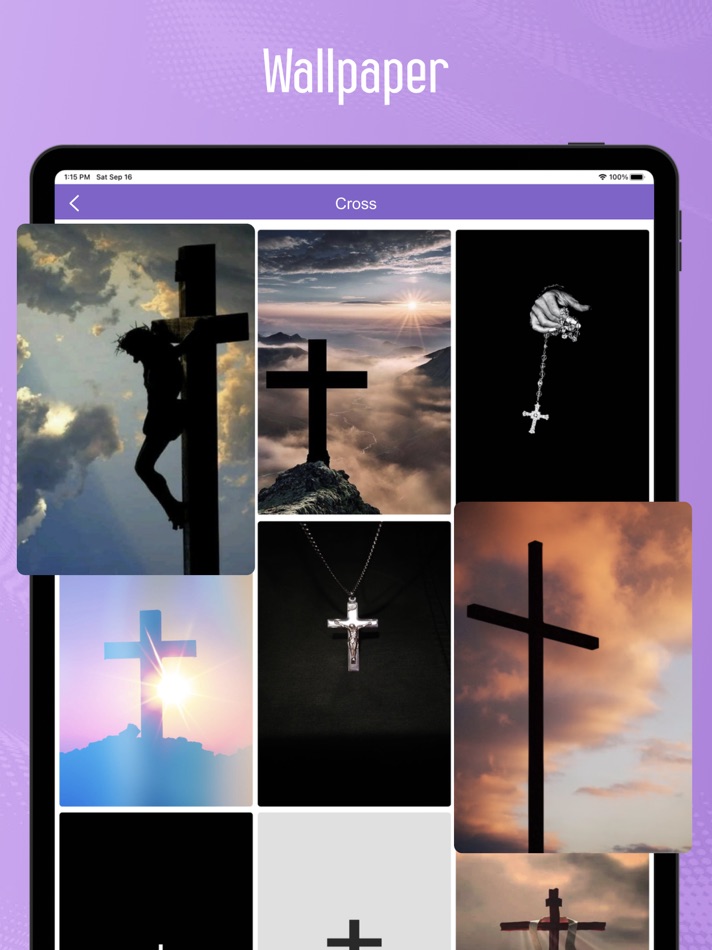 #8. Simple English Bible (SEB) (iOS) Bởi: Sumithra Kumar