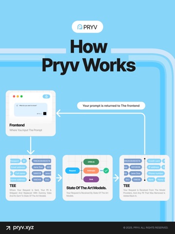 Pryv — Private AI iPad screenshot