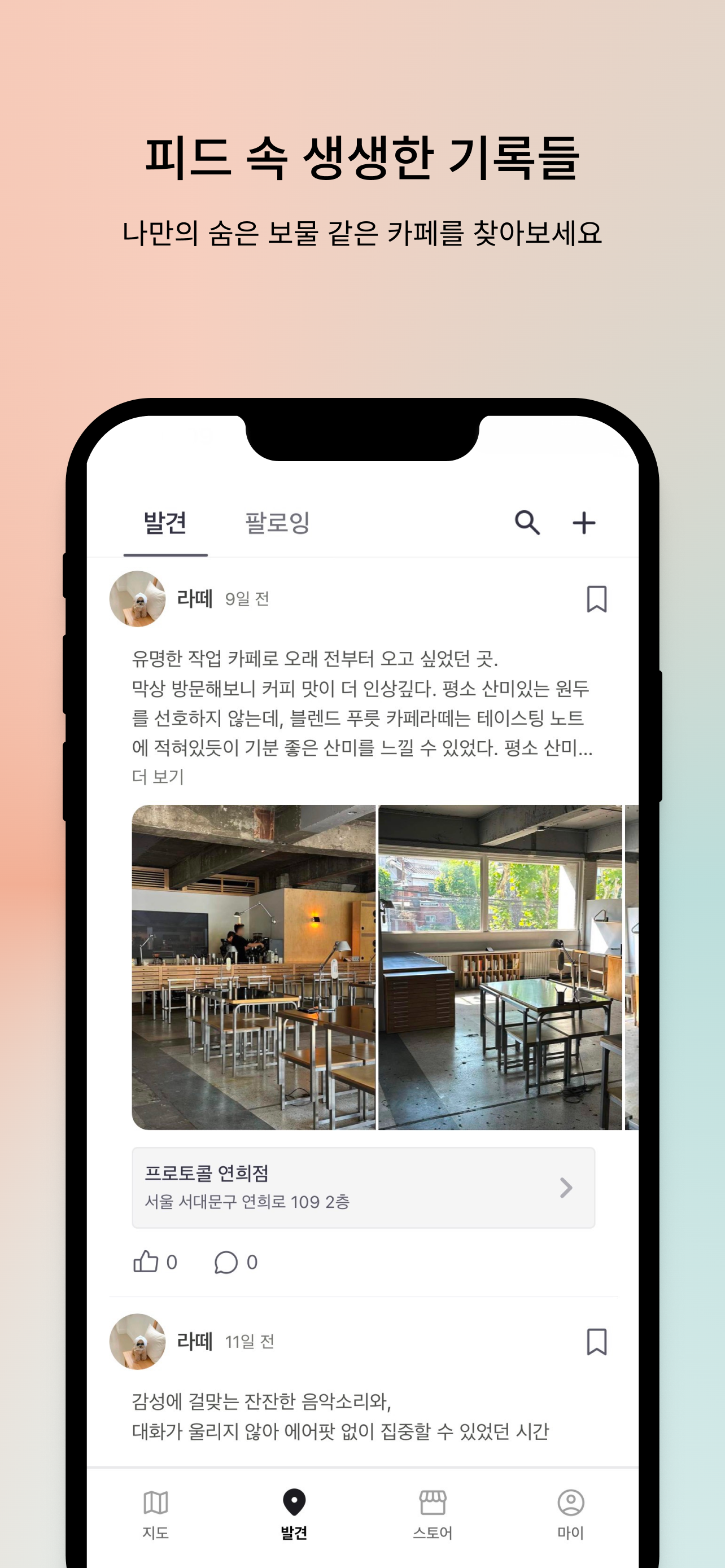 카페핀즈