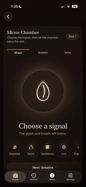 Tone Mirror Journal screenshot 3