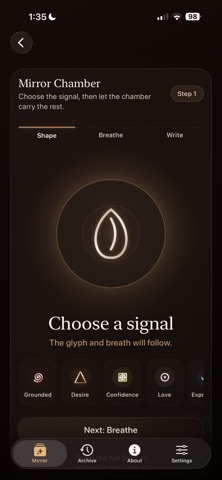 Tone Mirror Journal Screenshot 3 of 10