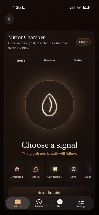 Tone Mirror Journal Screenshot 3 of 10