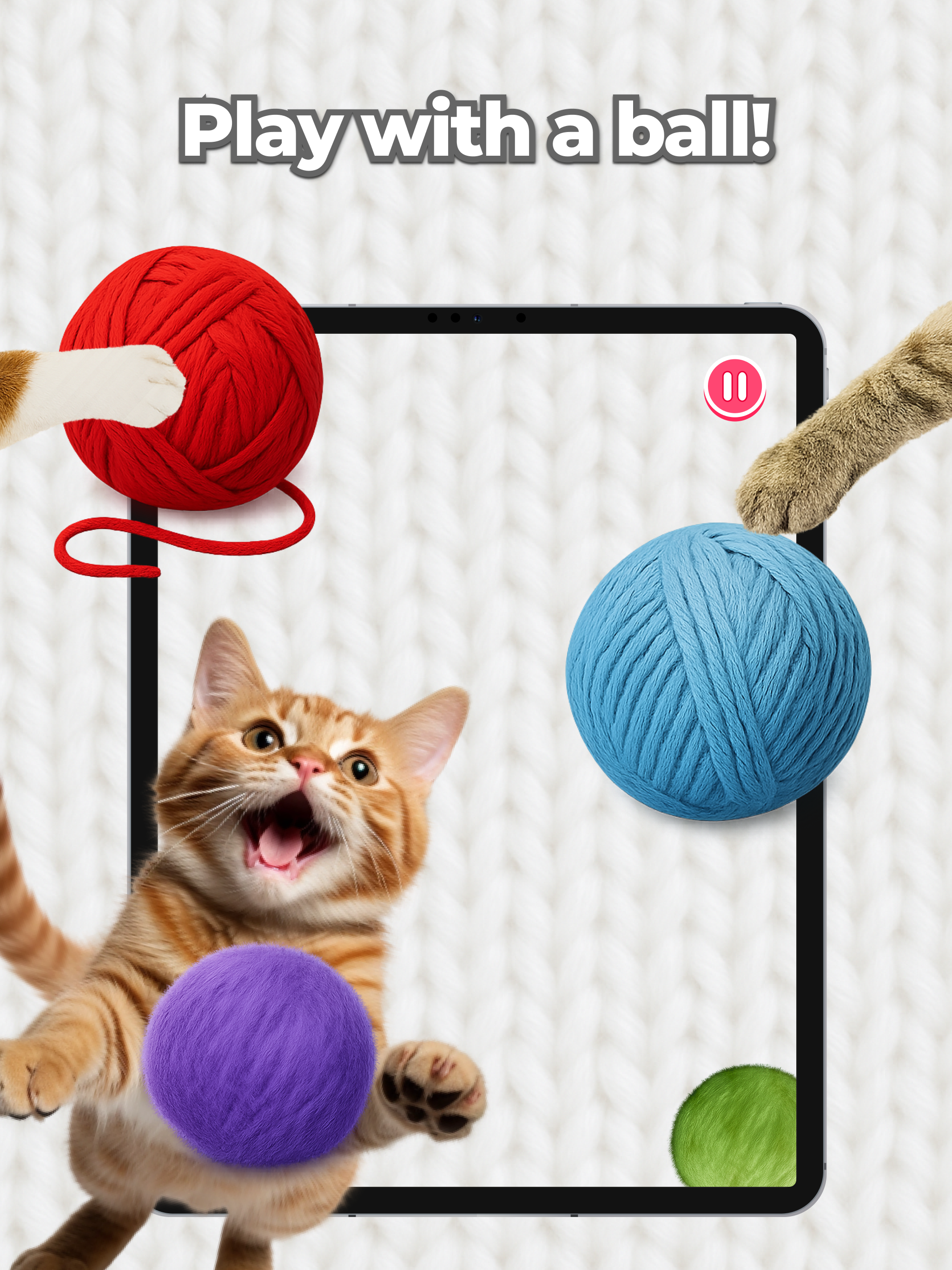 Cat Games for Cats: Fishing screenshot 15