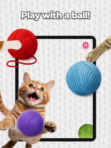 Cat Games for Cats: Fishing iPad screenshot