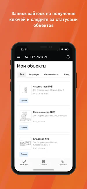 Стрижи. Дом screenshot 1
