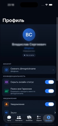 Балалайка Платоникс screenshot