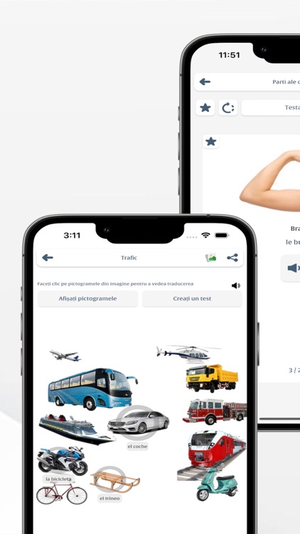 Invata Spaniola screenshot-4