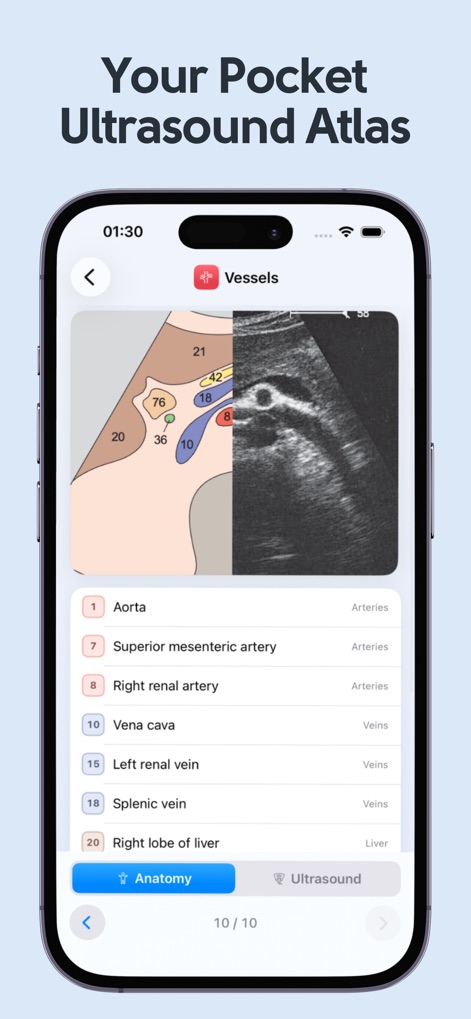 Ultrasound Anatomy Atlas - App de Medicina | MWM