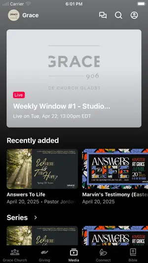 Grace Church Michigan screenshot 2
