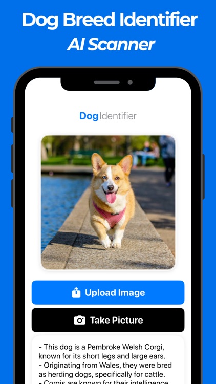 Dog Breed Identifier Scanner