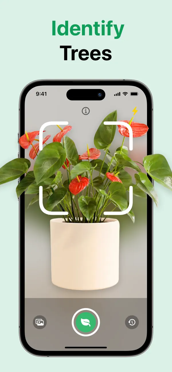 #1. Tree Identification - Tree ID (iOS) di: Hue Nguyen Thi