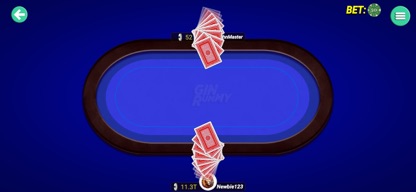 Gin Rummy - GinRummy ! screenshot 6