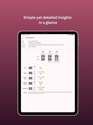 Plum Blossom Journal iPad screenshot