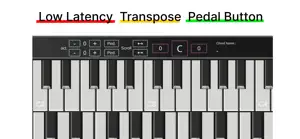 Dancing Piano: Keyboard screenshot 3