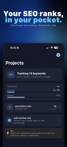SerpBeacon - Rank Tracker Screenshot 1 of 5