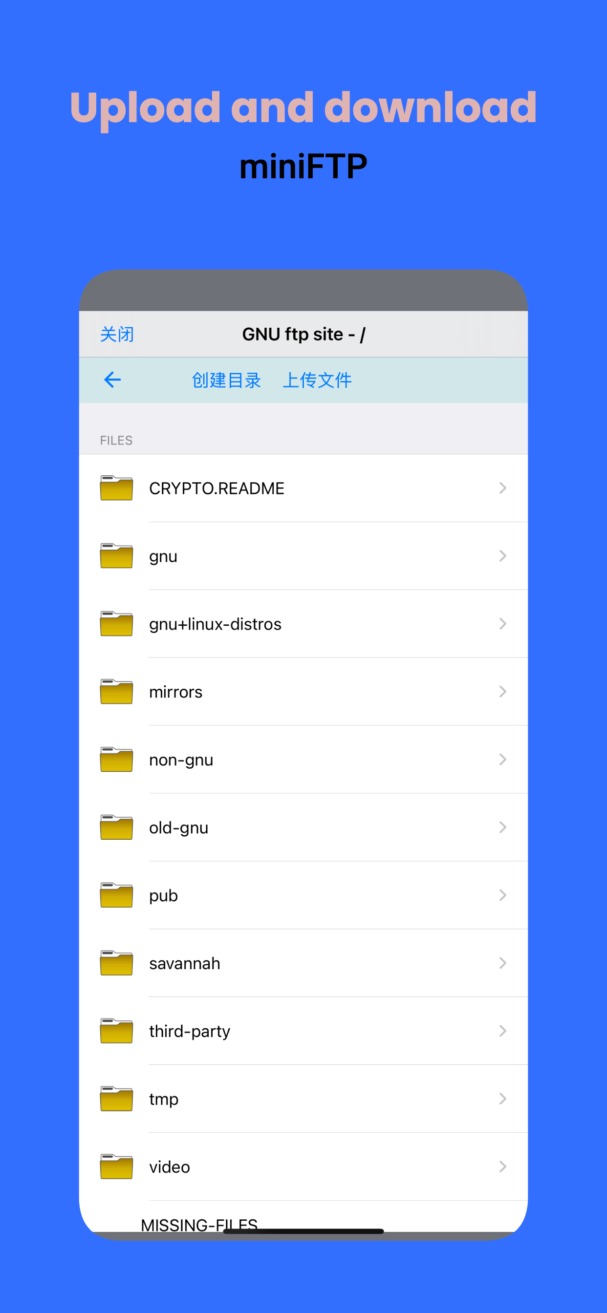 Mini ftp client