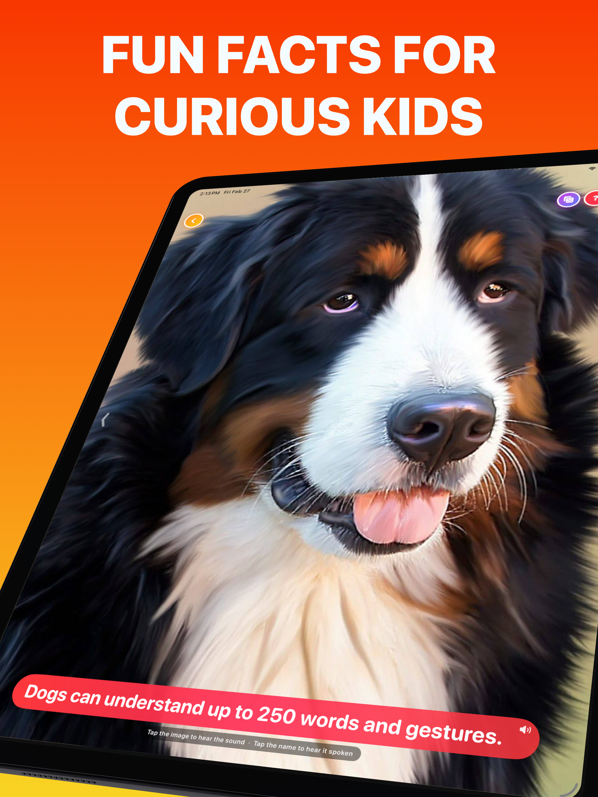 Guess the Animal Sounds: Kids screenshot 14