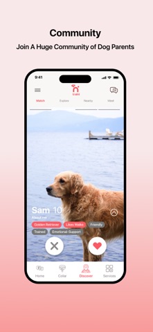 Traini-Dog Training & Insights Screenshot 8 of 10