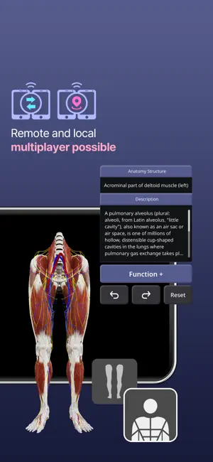 MEDIP Box Anatomy - 3D Cadaver screenshot 4