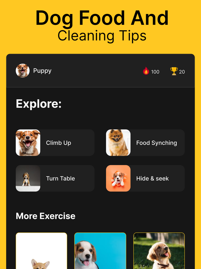 Dog Training  Pet Care Tricks