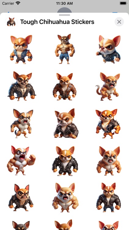 Tough Chihuahua Stickers