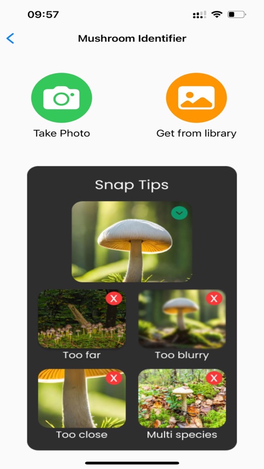 #3. Mushroom Identifier:AI Scanner (iOS) Podle: VIET NAM JINGLE SOFTWARE