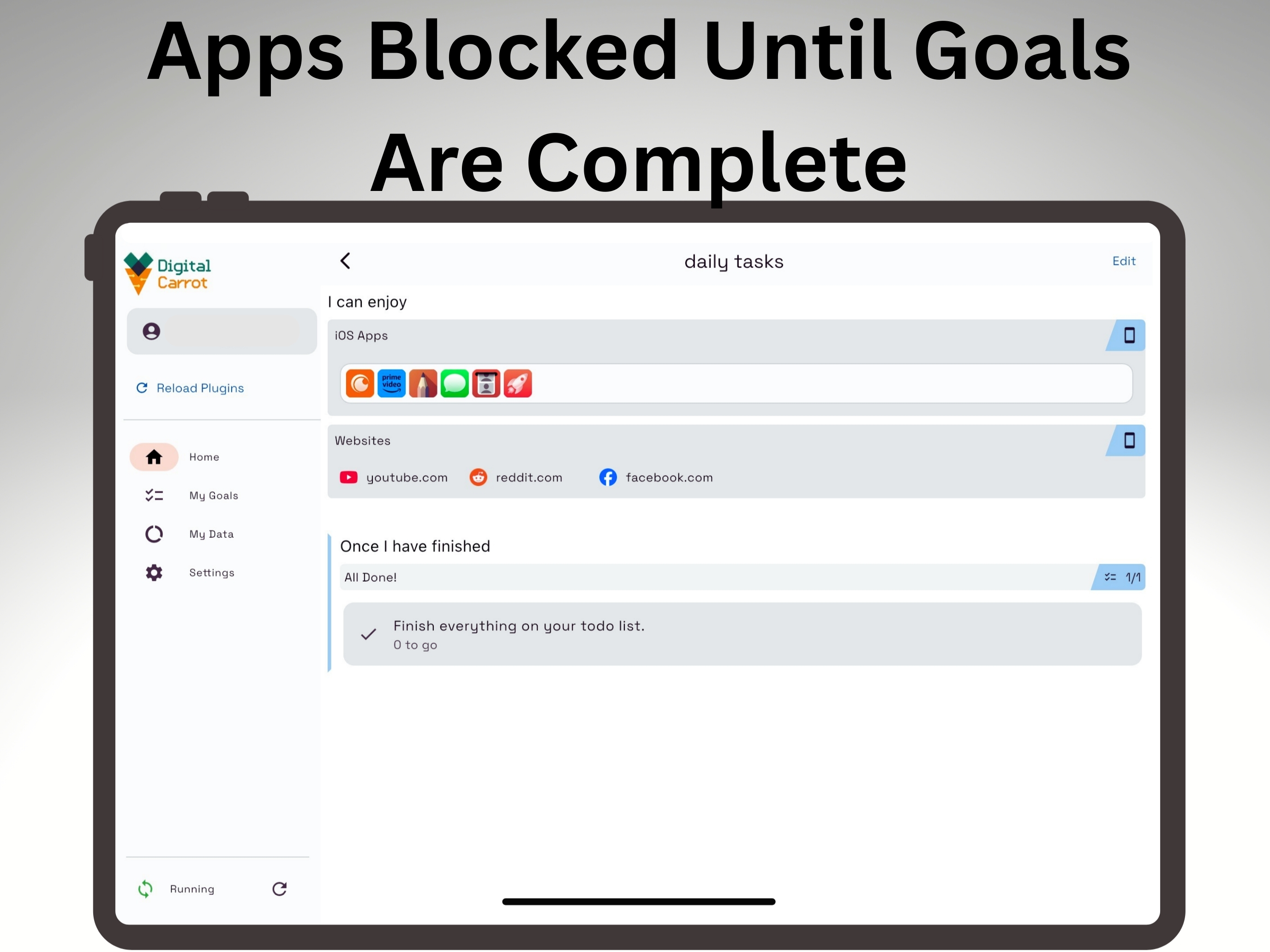 Digital Carrot Focus & Goals