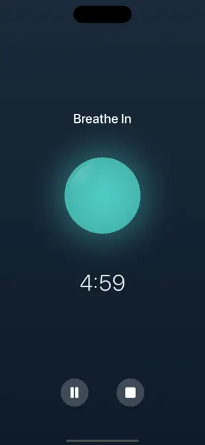 Pulmora: Simple Breathing screenshot 2