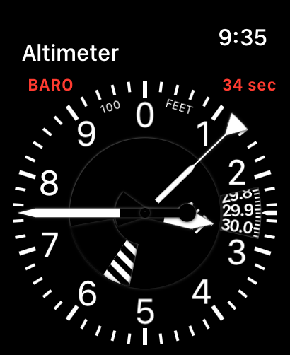 Pilot's Altimeter