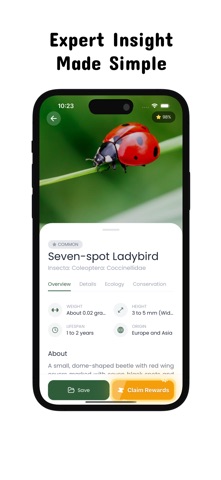 insect identifier: butterfly Screenshot 2 of 4