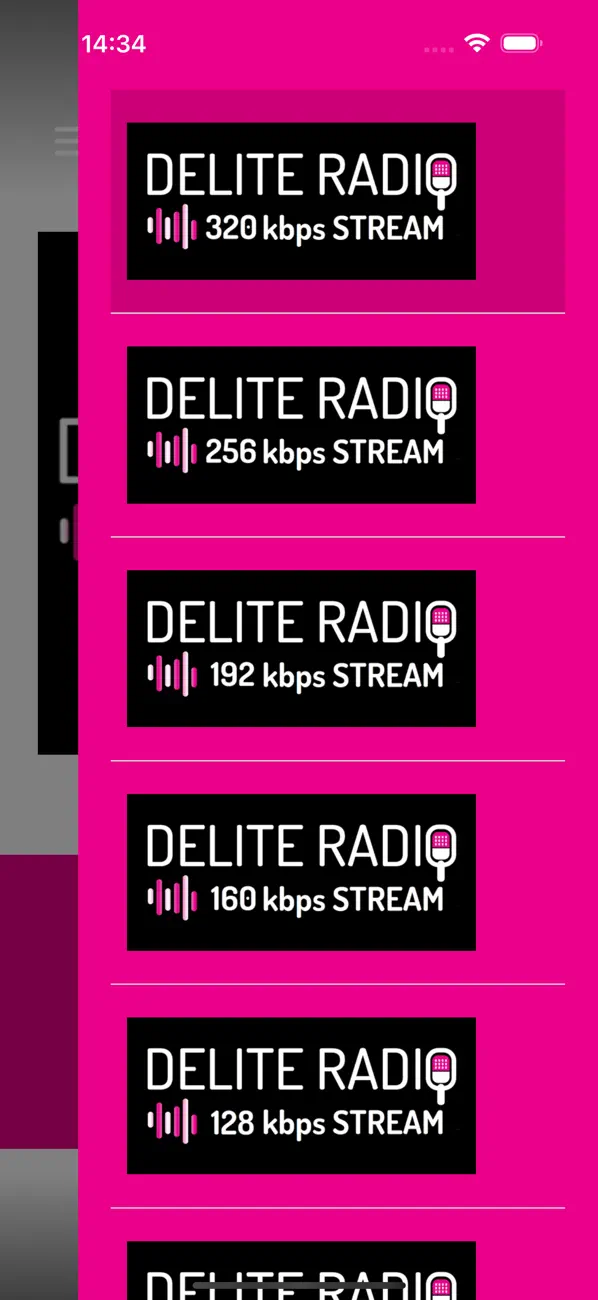 Screenshot #3 pour Delite Radio