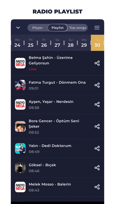 Radio Turkey Online Screenshot