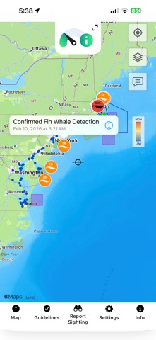 Whale Alert screenshot