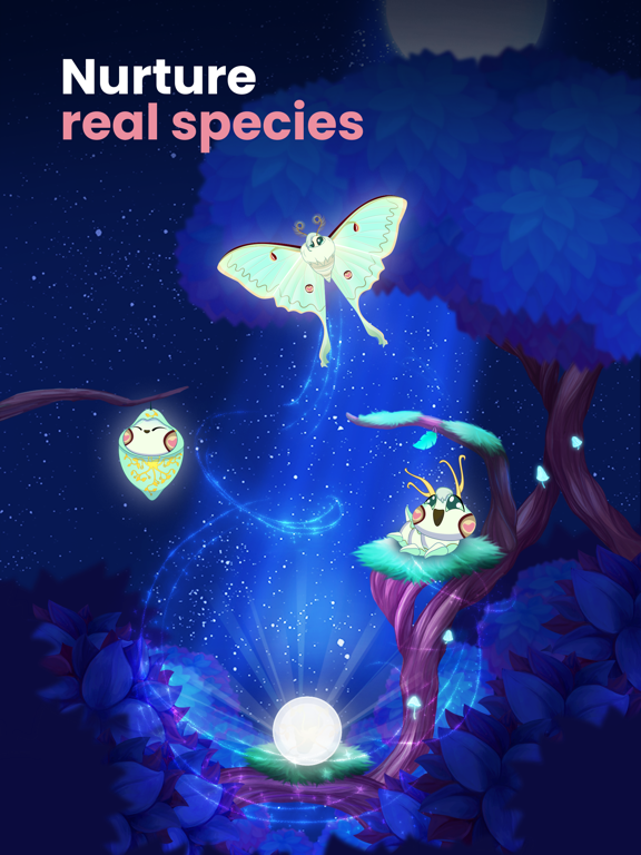 Flutter Starlight — Cozy Game iPad app afbeelding 3