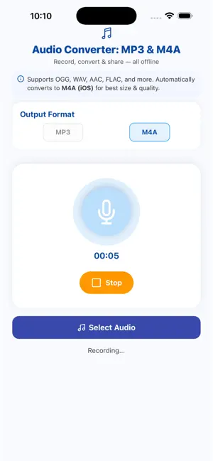 Audio Recorder & Converter screenshot 2