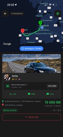 Flott Iceland screenshot