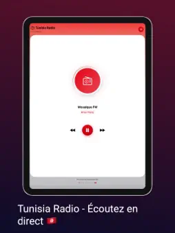 Tunisia Radio screenshot 5