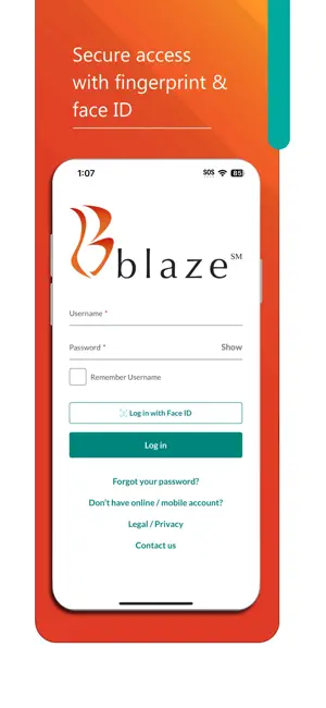 Blaze Mastercard Mobile screenshot 3