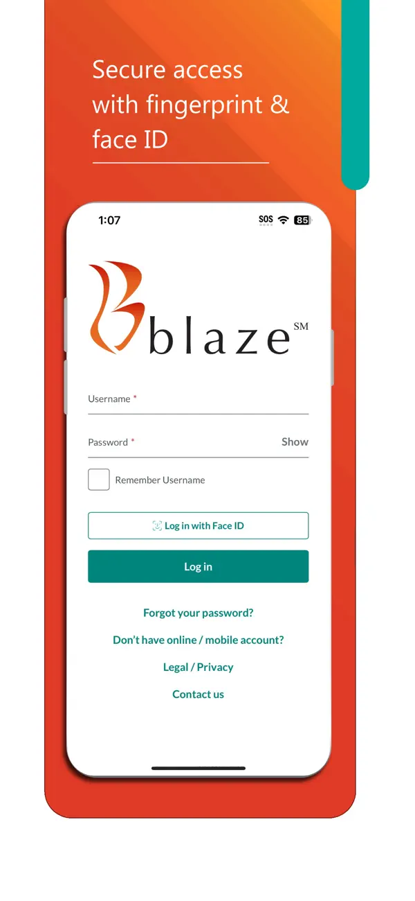Screenshot #3 pour Blaze Mastercard Mobile