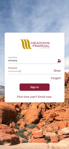 Meadows Financial iPhone screenshot